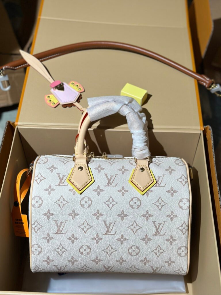 Louis Vuitton woman’s bag